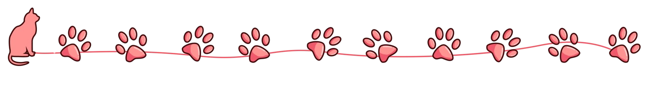 Banderole patte chat removebg preview