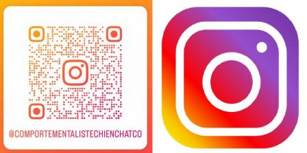 Qr code et insta