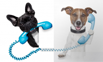 Telephone